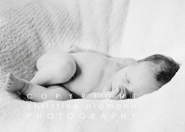 Milwaukee baby photographer