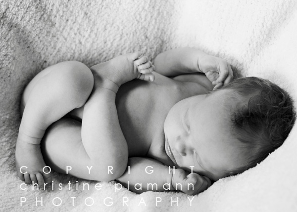 Milwaukee photographer