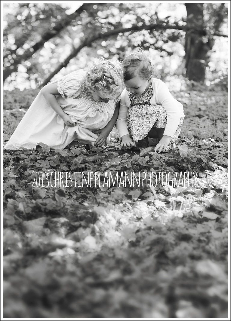 family photos in milwaukee