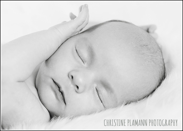 milwaukee newborn photographer