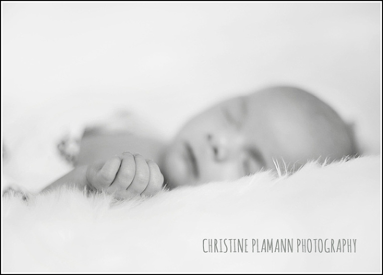 milwaukee newborn photographer