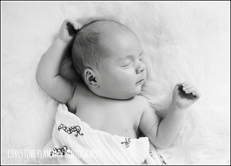 milwaukee-newborn-photographer-3