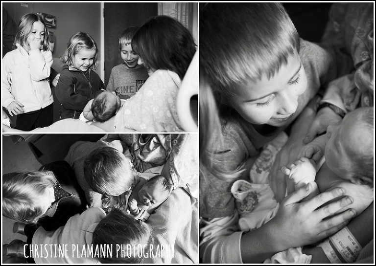 milwaukee newborn photographer christine plamann