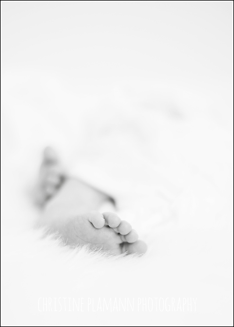 milwaukee newborn photos