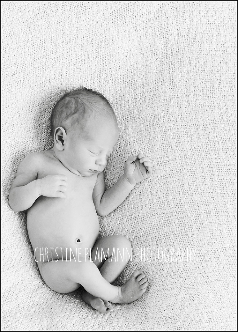 milwaukee newborn photos