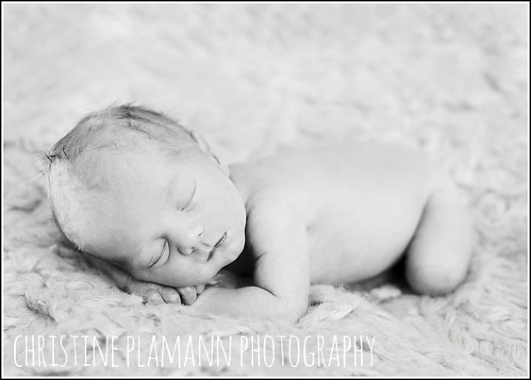 milwaukee newborn photos