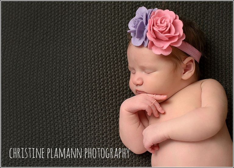 newborn photos in milwaukee