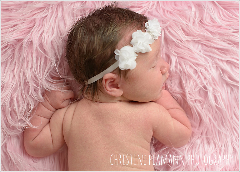 milwaukee studio newborn photography