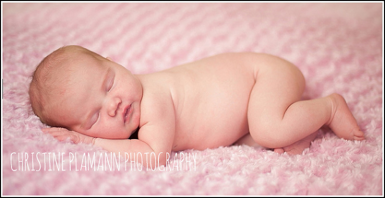 milwaukee newborn photographer