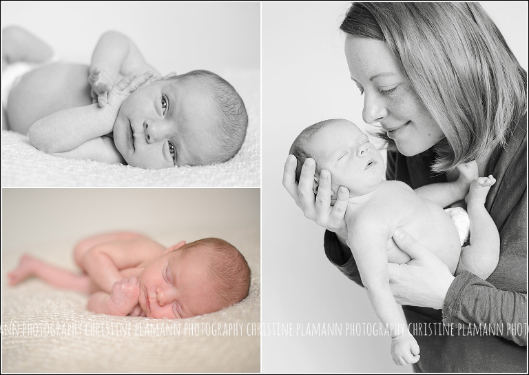 milwaukee newborn photographer 