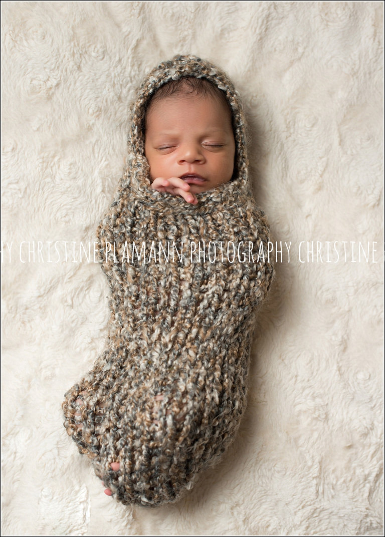 newborn photos milwaukee wisconsin