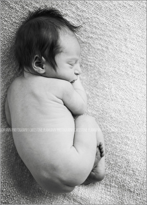 newborn-photos-milwaukee-3