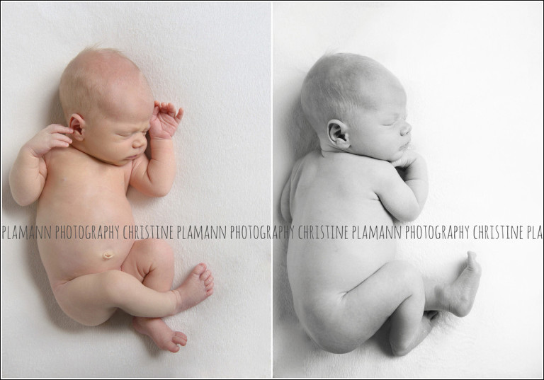 milwaukee newborn photos