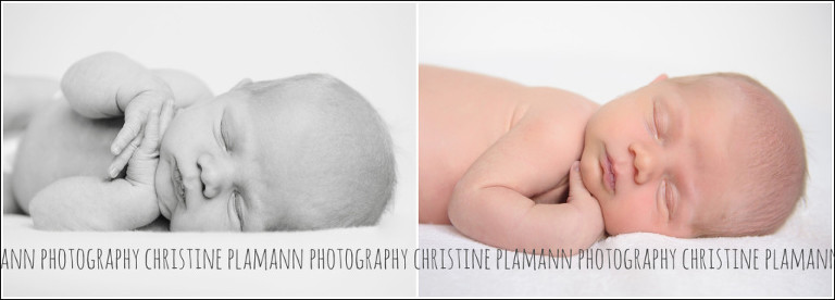milwaukee newborn photos