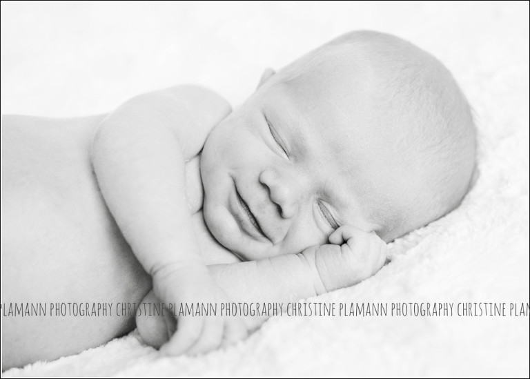 milwaukee newborn photos