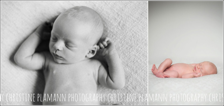 milwaukee newborn photo studio