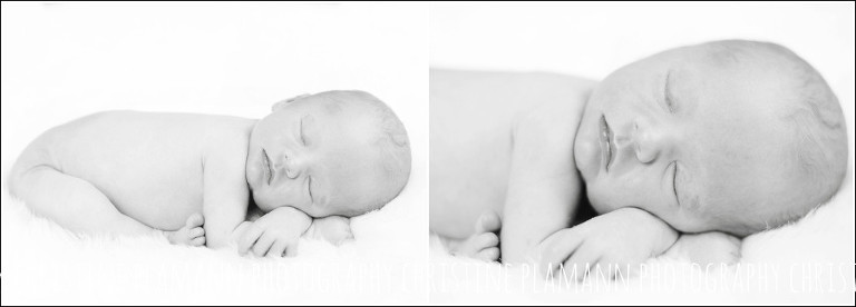 newborn photography milwaukee