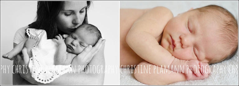 milwaukee newborn photos