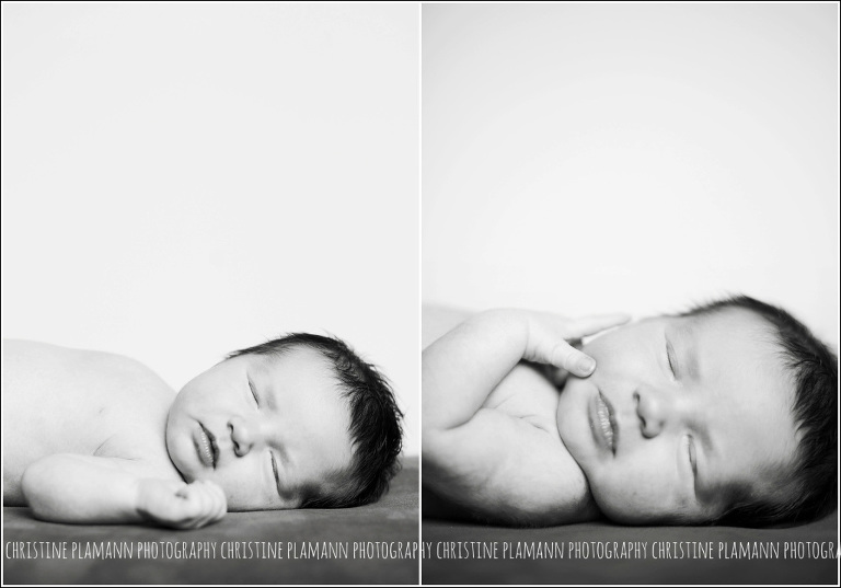 milwaukee newborn photographe