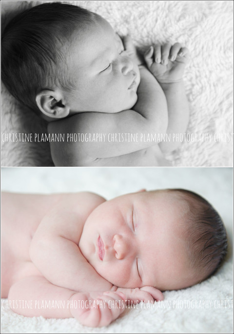 milwaukee newborn photographer