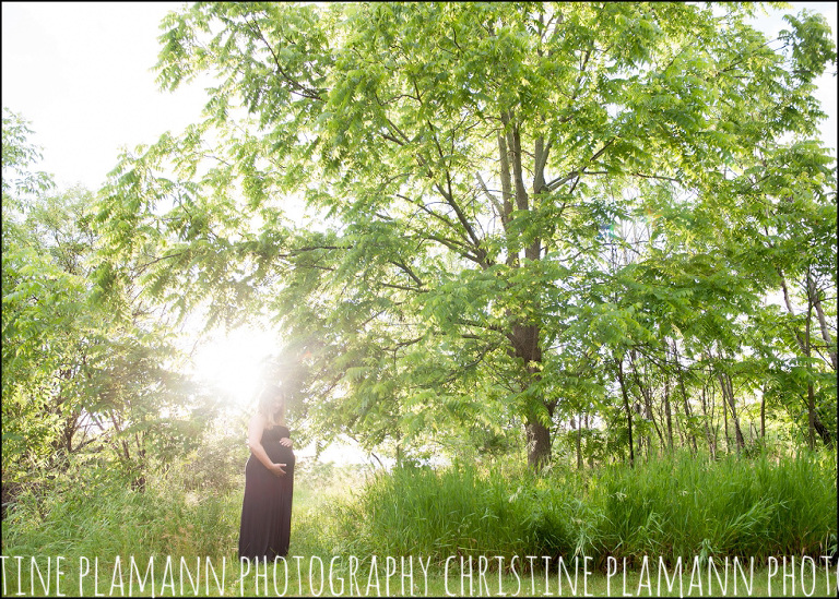 milwaukee maternity photographer