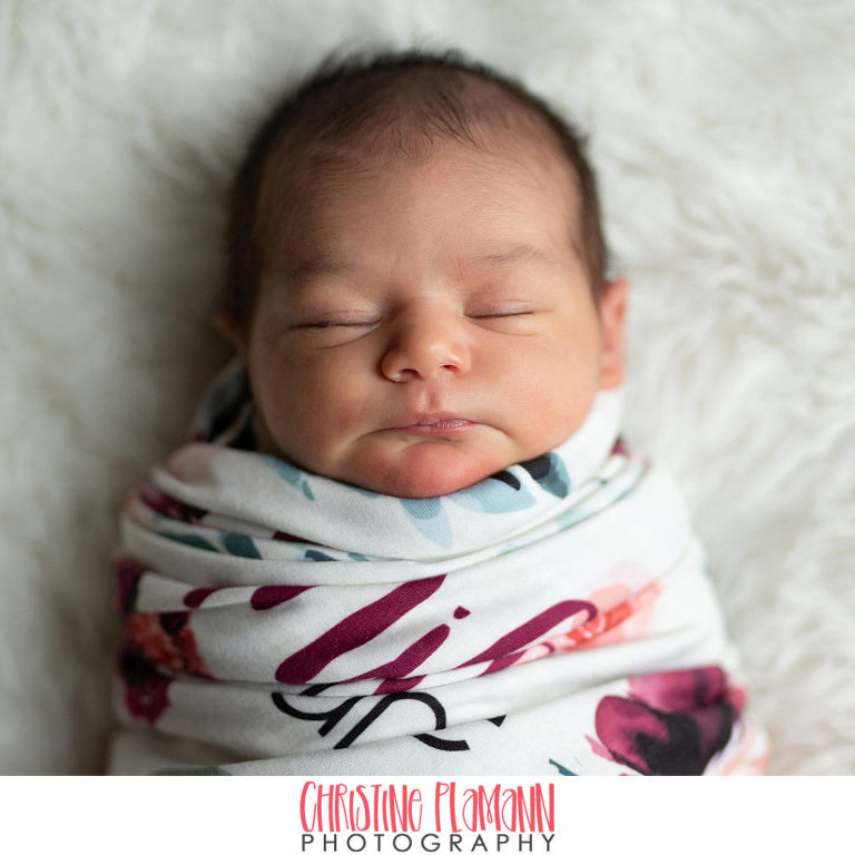 milwaukee newborn photographer
