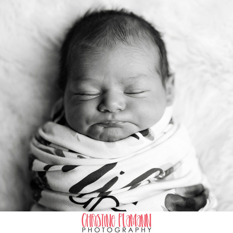 milwaukee newborn photographer