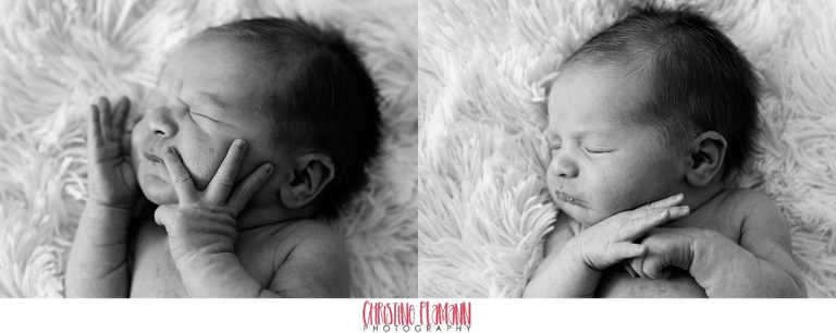 milwaukee photographer newborns 3