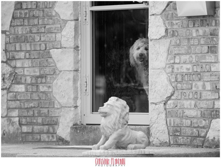 milwaukee photographer 1116