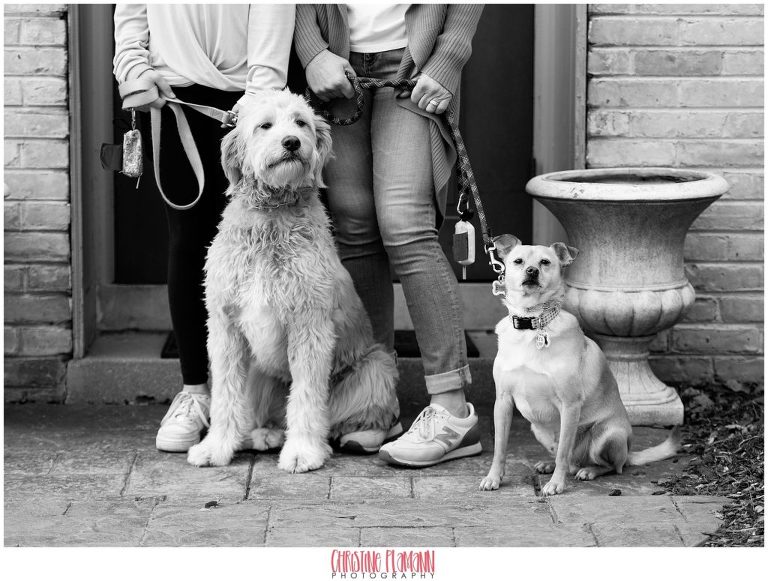 milwaukee photographer 1131