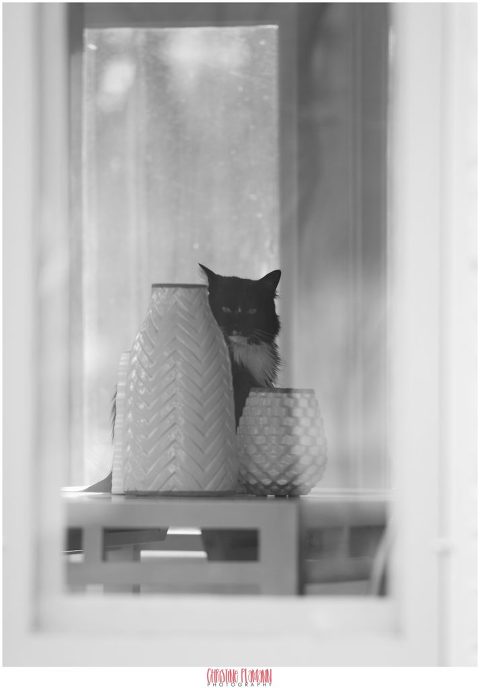 milwaukee photographer 1138