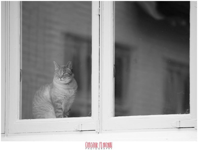 milwaukee photographer 1140