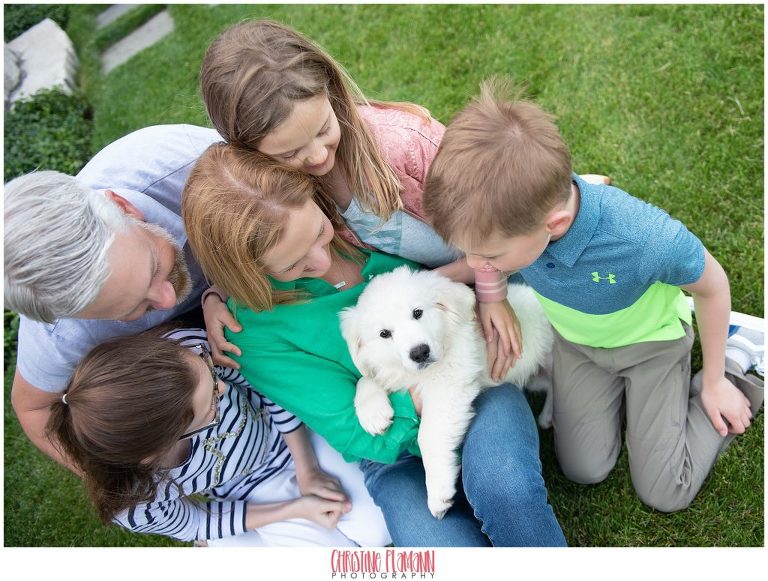 milwaukee photographer 1206